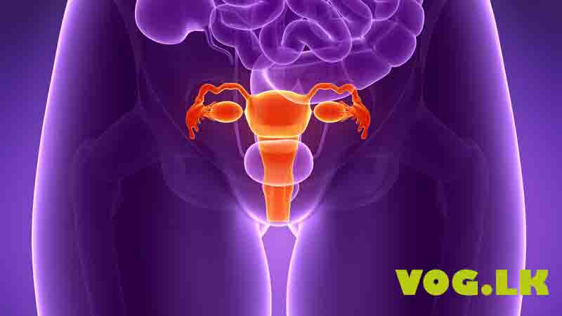 ගර්භාෂය පහත් වීම. (Pelvic organ prolapse)